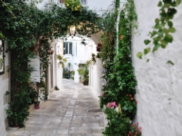 I den vita staden Ostuni