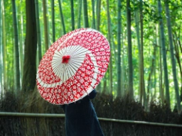 Bambuskog i Arashiyama