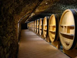 Vintunnor i källaren i Châteauneuf-du-Pape