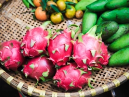 Drakfrukten infördes till Vietnam av fransmännen