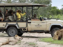Vi sitter tryggt i jeepen medan rangern berättar om lejonet Vi sitter tryggt i jeepen medan rangern berättar om lejonet
