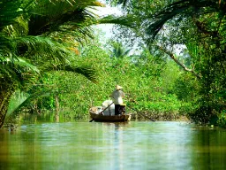 På båttur i det frodiga Mekongdeltat