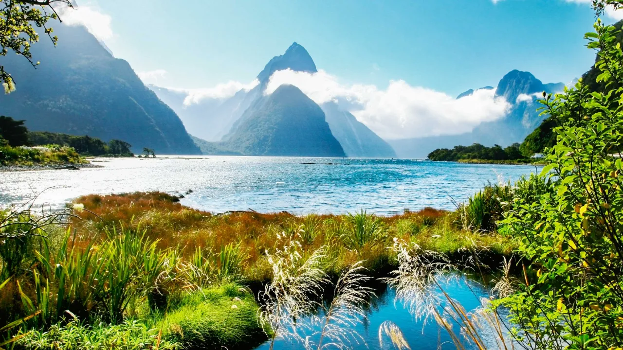 Milford Sound i Fiordland National Park med Mitre Peak i bakgrunden Milford Sound i Fiordland National Park med Mitre Peak i bakgrunden