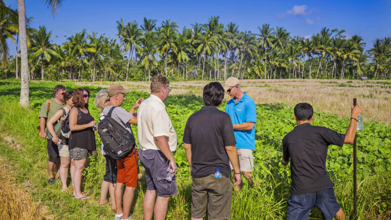 Guidad vandring genom rismarkerna vid Ubud Guidad vandring genom rismarkerna vid Ubud