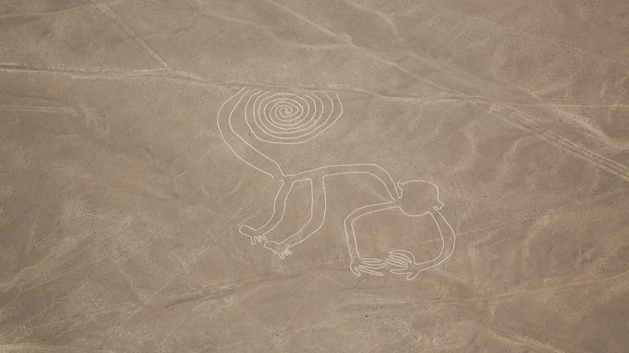 Nazcalinjerna i södra Peru är enorma geoglyfer, där apan är den mest berömda. Kan endast ses från luften