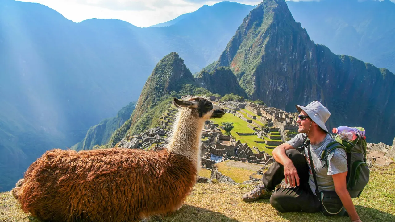 Turist och lama njuter av utsikten Turist och lama njuter av utsikten