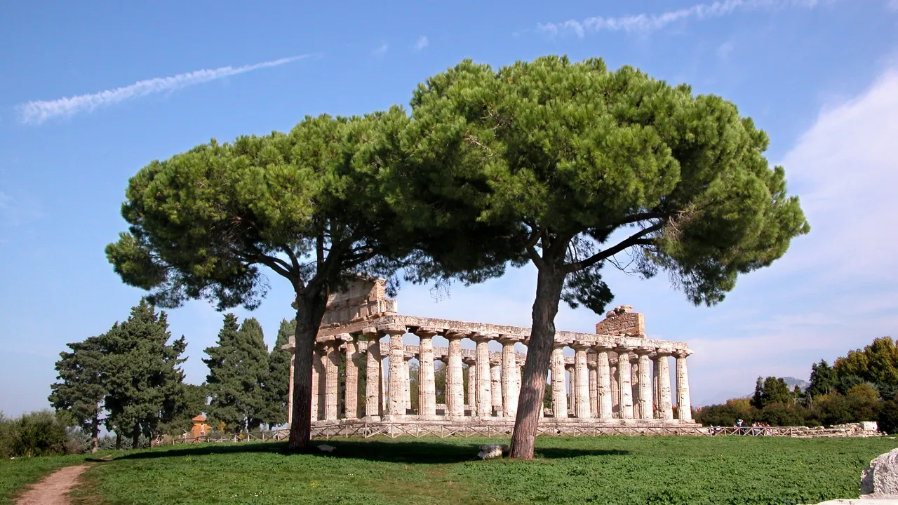 Templet i Paestum – grekisk tempelarkitektur Templet i Paestum – grekisk tempelarkitektur