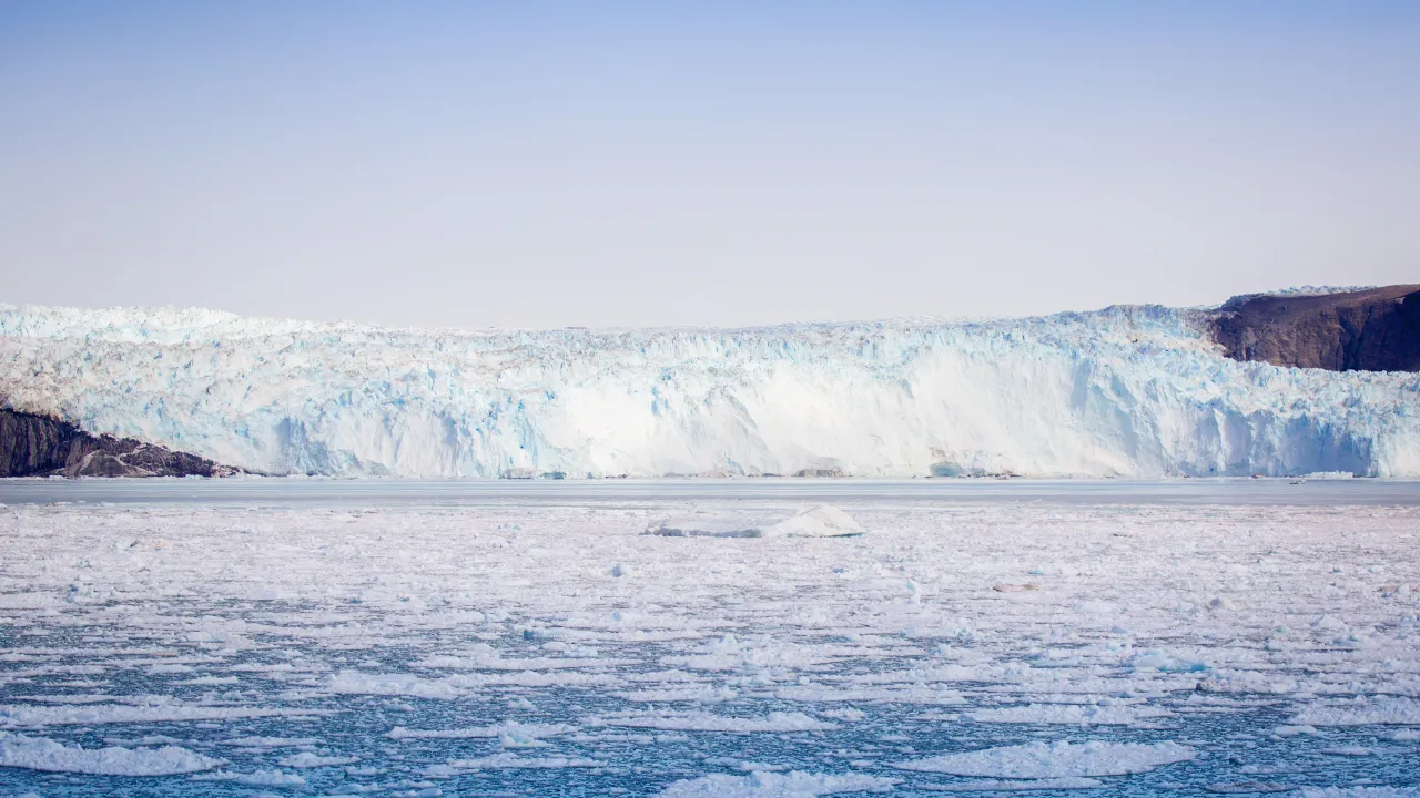 Glaciär möter hav