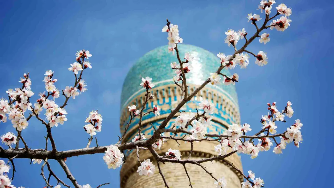 Minaret med turkosblå kakeldekorationer i Buchara, Uzbekistan Minaret med turkosblå kakeldekorationer i Buchara, Uzbekistan
