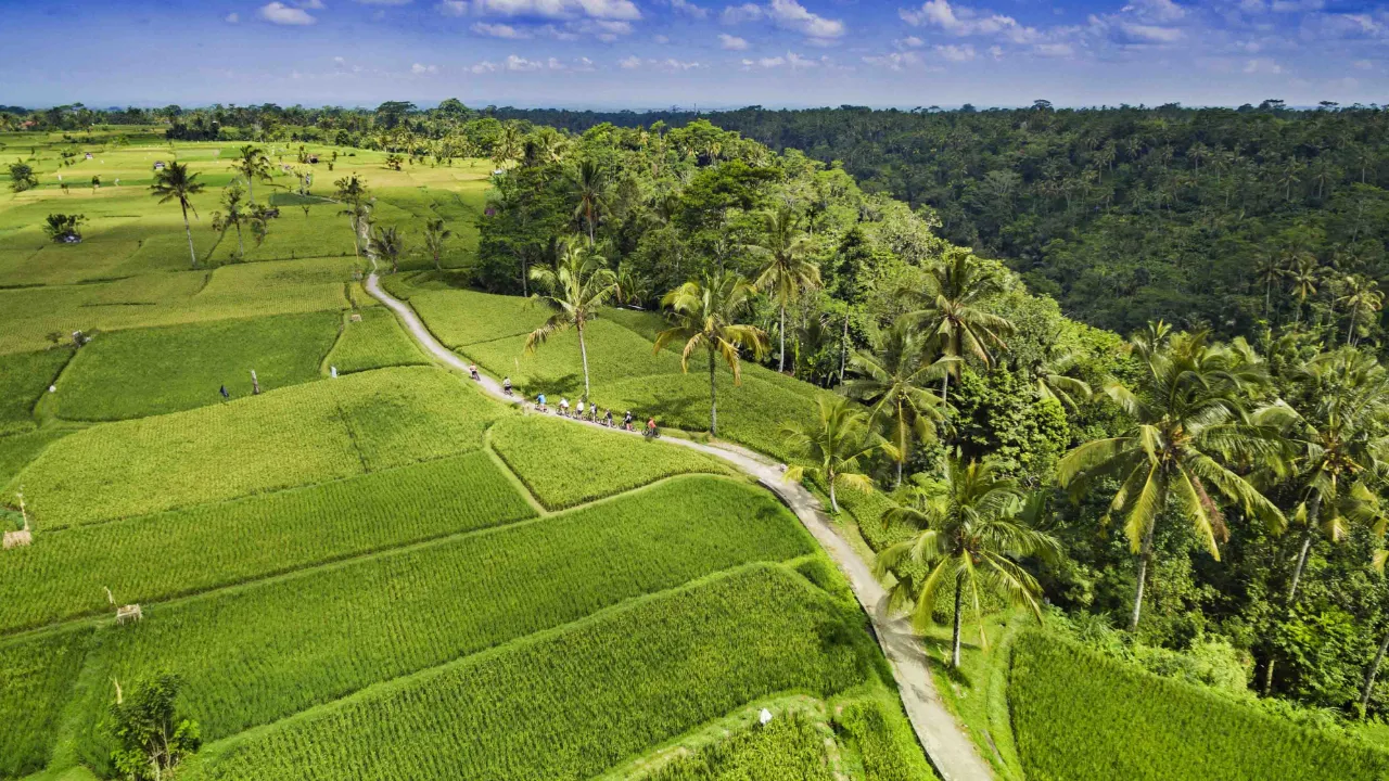 På cykeltur genom rismarkerna omkring Ubud På cykeltur genom rismarkerna omkring Ubud