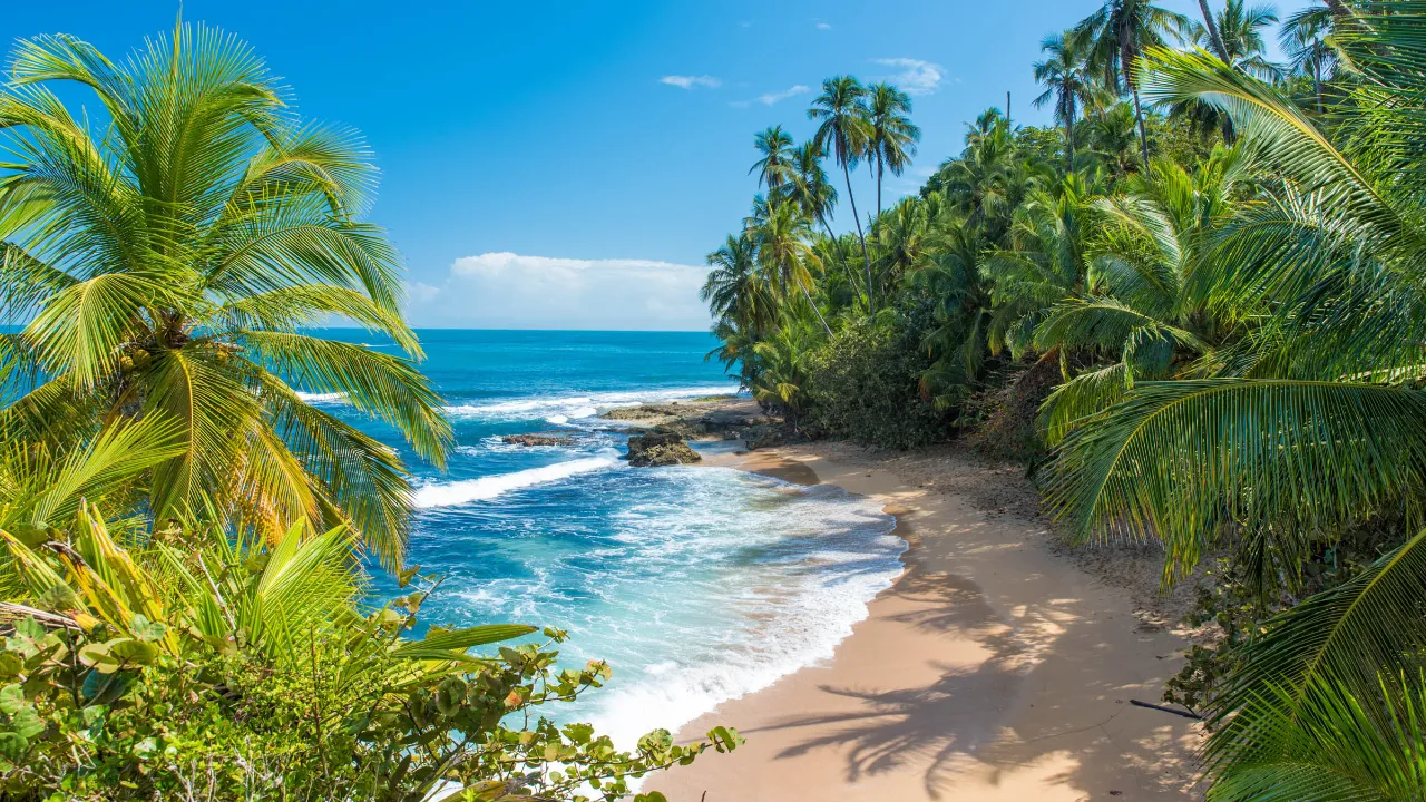 Orörd sandstrand vid Puerto Viejo