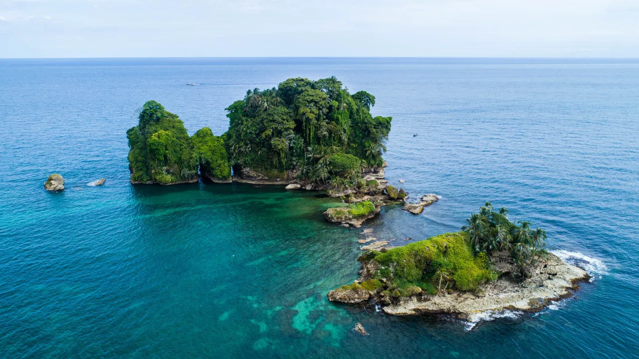 Bird Island vid Bocas del Toro har ett rikt fågelliv