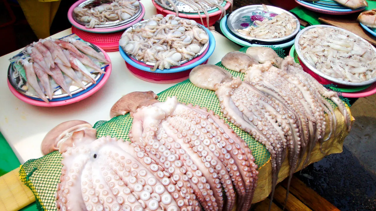 Jagalchi Market i Busan är känt för sitt stora utbud av havets delikatesser Jagalchi Market i Busan är känt för sitt stora utbud av havets delikatesser