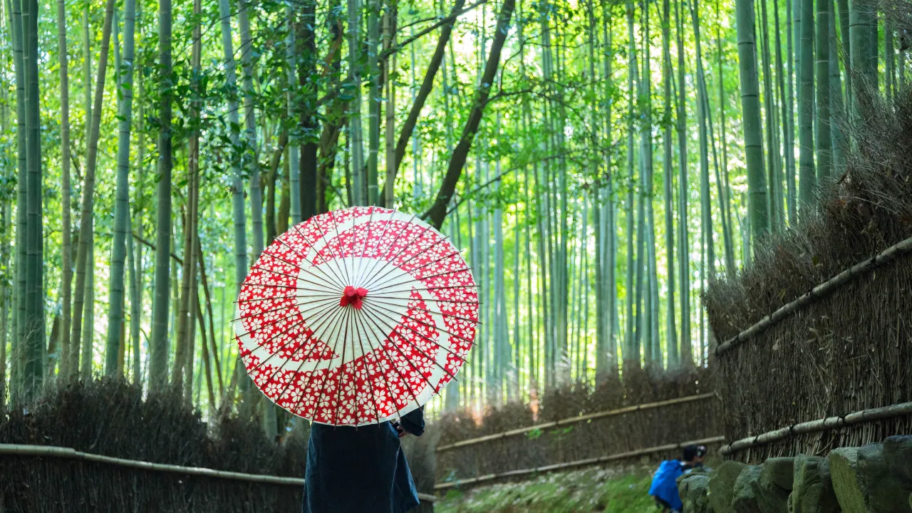 Bambulunden i Arashiyama, Kyoto Bambulunden i Arashiyama, Kyoto