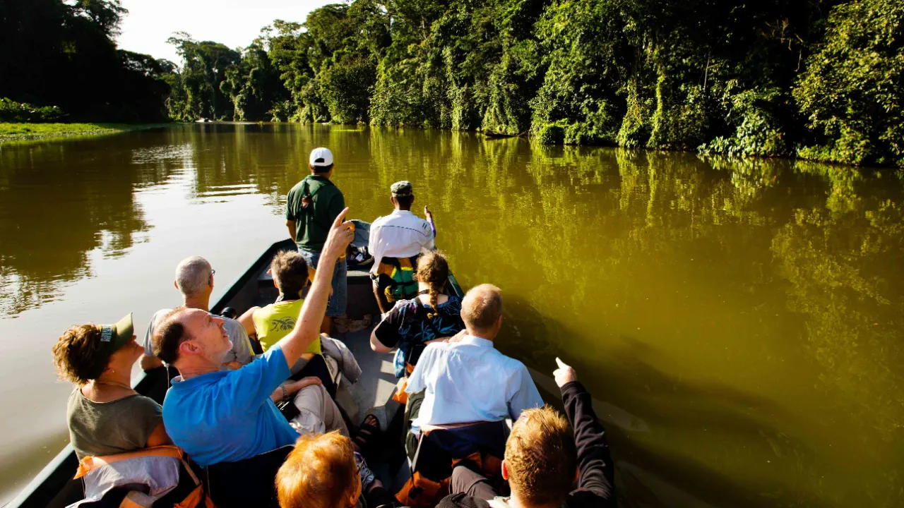 Båttur genom de stilla kanalerna i regnskogen i Tortuguero nationalpark, Costa Rica Båttur genom de stilla kanalerna i regnskogen i Tortuguero nationalpark, Costa Rica
