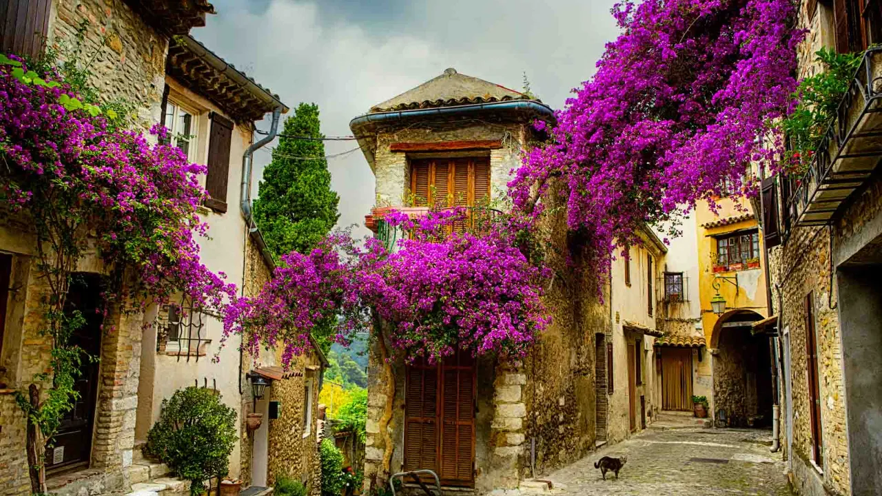 Provence – medeltida by med bougainvillea Provence – medeltida by med bougainvillea
