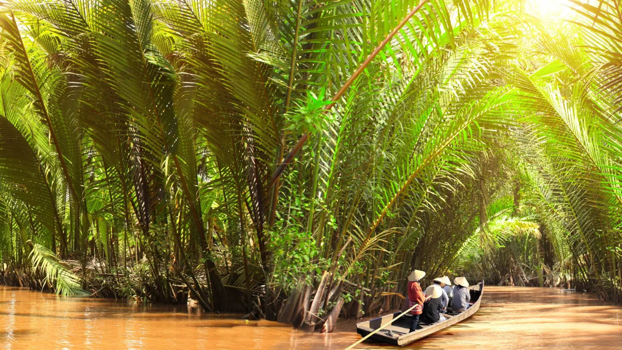 Båttur genom frodig palmskog i Mekongdeltat