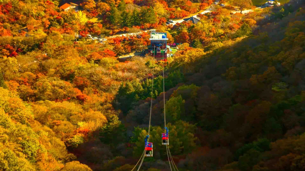 Linbanan i Naejangsan nationalpark Linbanan i Naejangsan nationalpark