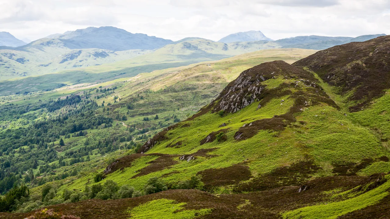 Trossachs nationalpark Trossachs nationalpark