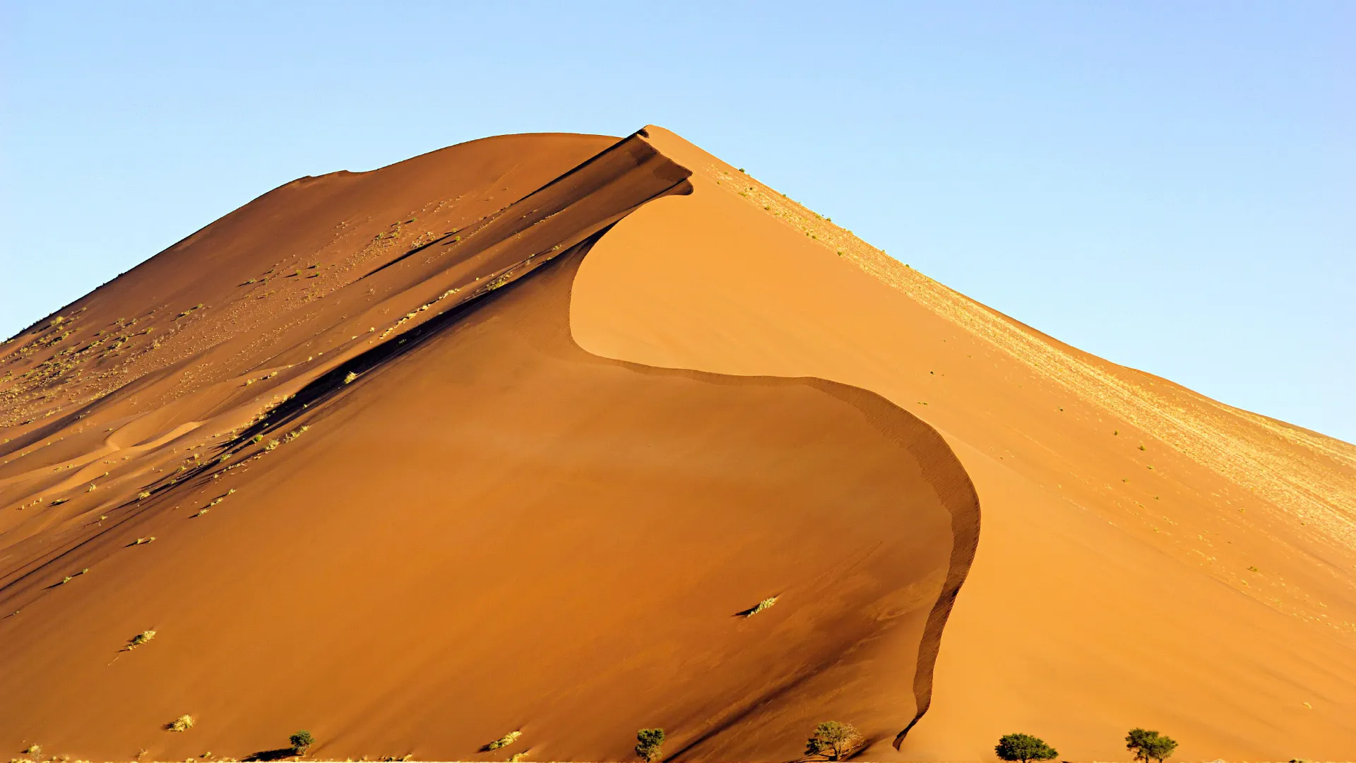 En av Sossusvleis ikoniska röda sanddyner reser sig majestätiskt mot den klara himlen En av Sossusvleis ikoniska röda sanddyner reser sig majestätiskt mot den klara himlen